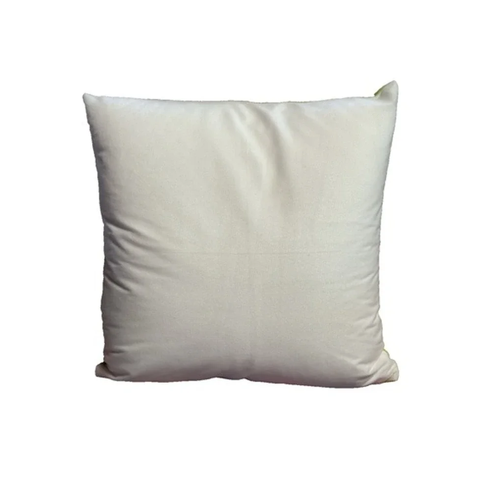 NEW novelty throw‎ pillow 18x18 inches pillowcase & insert included